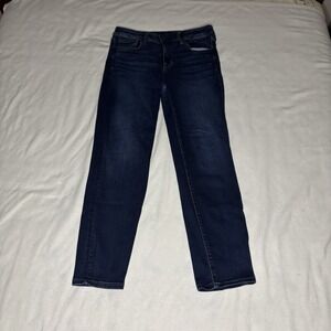 American Eagle Outfitters Dark Blue Skinny Jeans